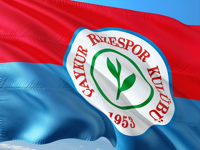 其實反映了 其實反映了