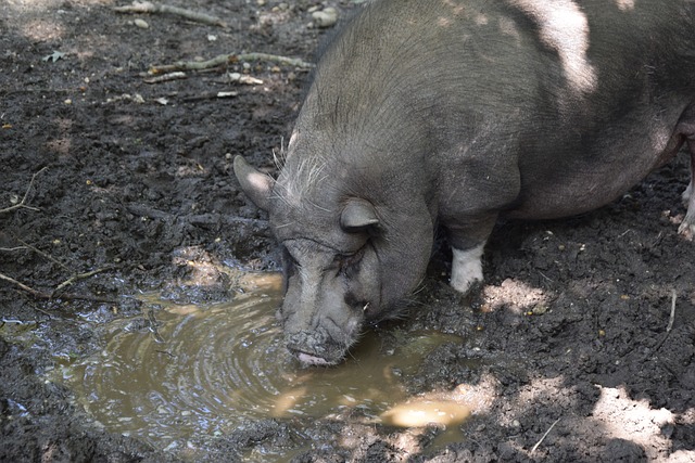 勇士是如何 勇士是如何