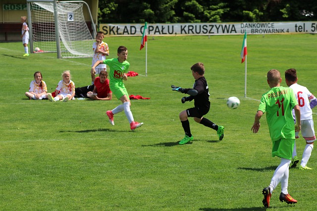 本文将探讨 本文将探讨