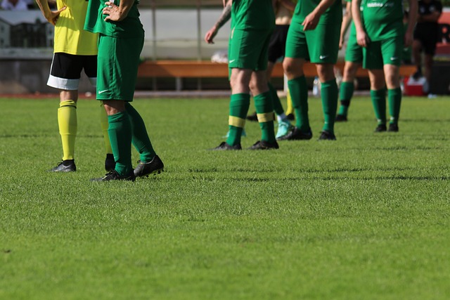 参与者必须 参与者必须