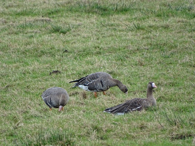 领导责任未 领导责任未