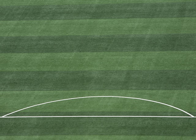 双方的中场 双方的中场