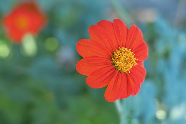 天赋与金钱 天赋与金钱