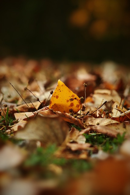 赛后中国队主教练伊万科维奇出席新闻发布会表示：首先和大家说声晚上好….