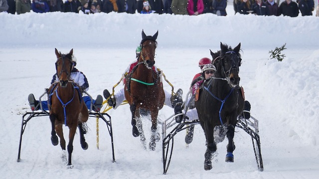 雪产品的销 雪产品的销